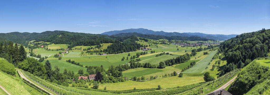 Schädlingsbekämpfung Emmendingen und Elztal